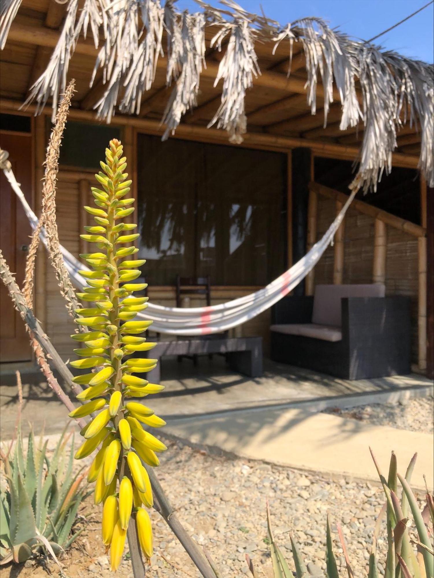 Wayra Hotel Lobitos Buitenkant foto